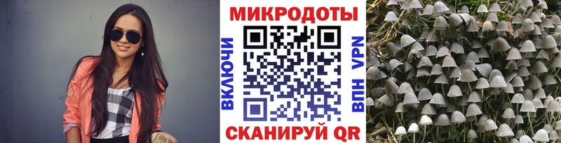 Галлюциногенные грибы Magic Shrooms  Устюжна 